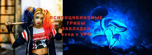 эйфоретик Бородино