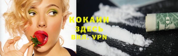эйфоретик Бородино