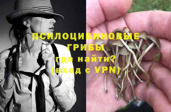 эйфоретик Бородино