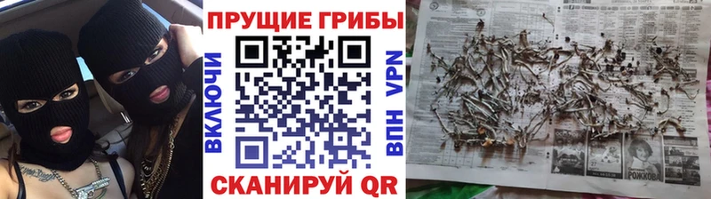 МЕГА зеркало  как найти закладки  Каневская  Псилоцибиновые грибы Magic Shrooms 